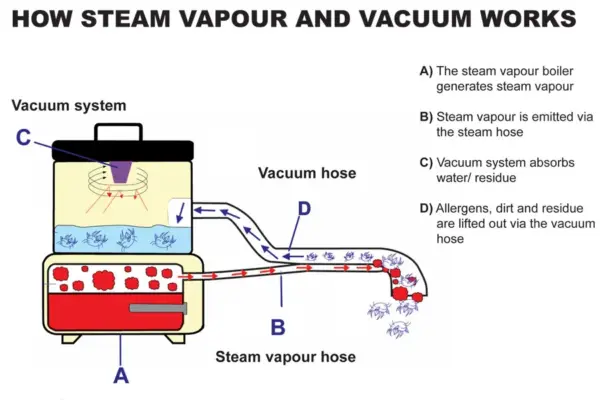 Duplex Jetvac Major Steam & Vacuum Cleaner - Image 6